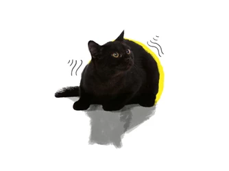 Gato.png